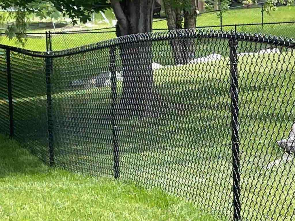 Residential Chain Link fence solutions for the West Metro Minnesota area